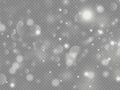 Sparkling dust bokeh. Royalty Free Stock Photo