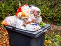 Dustbin with many garbage bags