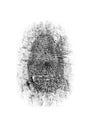 Dusted Fingerprint Royalty Free Stock Photo