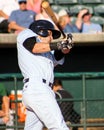 Dustin Fowler, Charleston RiverDogs