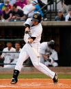 Dustin Fowler, Charleston RiverDogs