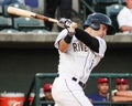 Dustin Fowler, Charleston RiverDogs