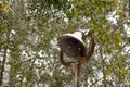 An antique yard iron dinner bell with snow and icicles