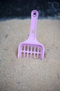 Dustpan and cat sand Royalty Free Stock Photo