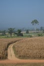 Dusty Country Road Royalty Free Stock Photo