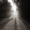 Dusty dirt road on a beautiful sunset behind the forest, in the front and background silhouettes of cars Royalty Free Stock Photo