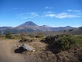 Dusty dirt road in park las araucarias in patagonia Royalty Free Stock Photo