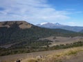 Dusty dirt road in park las araucarias in patagonia Royalty Free Stock Photo