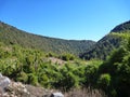 Dusty dirt road in park las araucarias in patagonia Royalty Free Stock Photo