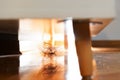 Dusty dirty floor with clump of hair on shining parquet under furniture in living room. Close-up, low angle view