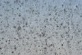 Dusty dirty and grunge glass window background