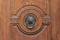 Dusty lion head door knocker
