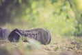 Missing and poverty concept: Abandoned shoe lying on the dusty ground Royalty Free Stock Photo