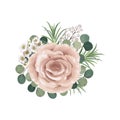 Dusty pink blush, white and creamy rose flowers vector design wedding bouquets. Eucalyptus, greenery. Floral pastel Royalty Free Stock Photo