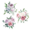 Dusty pink,creamy white and mauve antique rose vector design wedding bouquets Royalty Free Stock Photo