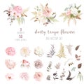 Dusty pink and ivory beige rose, pale hydrangea, peony flower, fern, dahlia