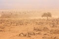 Dusty plains during a drought Royalty Free Stock Photo