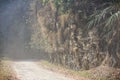 A dusty road with cobwebs around