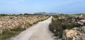 A dusty road leading to the hilly part of the island. Italy, Sicily