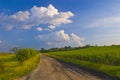 Dusty road leads through the fields and meadows Royalty Free Stock Photo