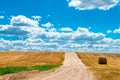 Dusty road in the sloping Field of wheat Royalty Free Stock Photo