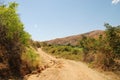 Dusty safari road Royalty Free Stock Photo