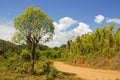 Dusty safari road Royalty Free Stock Photo