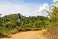 Dusty safari road Royalty Free Stock Photo