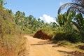 Dusty safari road in Madagascar Royalty Free Stock Photo