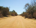 Dusty safari road in Madagascar Royalty Free Stock Photo