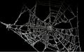 Dusty spider web Royalty Free Stock Photo
