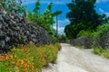 Dusty street at Taketomi Island, Okinawa, Japan