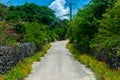 Dusty street at Taketomi Island, Okinawa, Japan