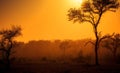 A Dusty Sunrise in South Africa