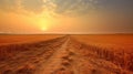 Dusty track meandering through wheat field