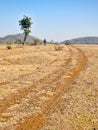 Dusty track in wilderness