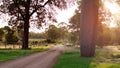 Dusty Track In The Australian Bush Royalty Free Stock Photo