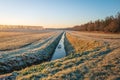 Dutch agricultural area with winter wheat sown in rows and a ditch on a cold winter morning