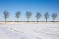 Dutch agricultural landscape with countryroad and trees covered by snow Royalty Free Stock Photo