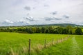 Dutch agricultural landscape with grassland, wooden post and wire fences dividing plots