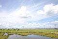 Dutch agricultural landscape with a view of cows in the meadow and the outskirts of Amsterdam, electricity pylons, under a Royalty Free Stock Photo