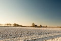 Dutch agricultural landscape in wintertime Royalty Free Stock Photo