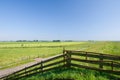 Dutch agrucultural landscape