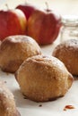 Dutch apple dumplings