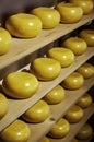 Dutch artisan cheeses Royalty Free Stock Photo