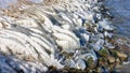Dutch breakwater with reed covered by ice Royalty Free Stock Photo