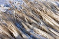 Dutch breakwater with reed covered by ice