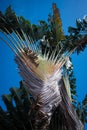 The Dutch Caribbean island of Sint Eustatius Royalty Free Stock Photo