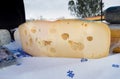 Dutch cheese with holes for sale Royalty Free Stock Photo