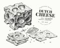 Dutch cheese illustration. Hand drawn vector dairy illustration. Engraved style maasdam slice cut. Vintage food illustration